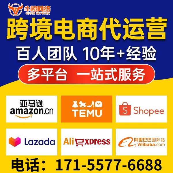白银电商代运营