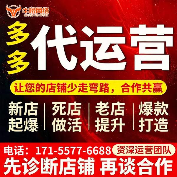 白银电商代运营