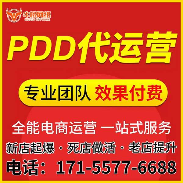 白银电商代运营