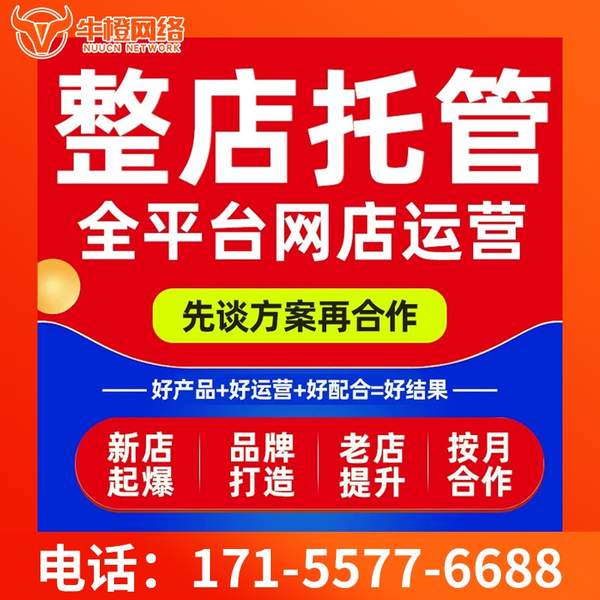 白银电商代运营