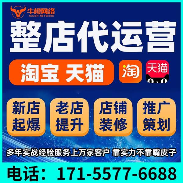 白银电商代运营