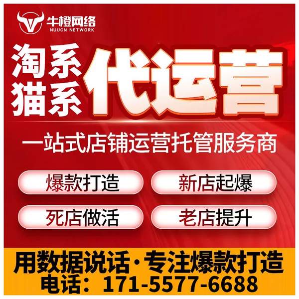 白银电商代运营